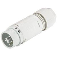 Wieland Electric 46.052.4554.0 Ronde connector Stekker, recht Totaal aantal polen: 3 + PE Serie (ronde connectoren): RST® MINI 1 stuk(s) - thumbnail