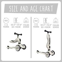 Scoot & Ride Scoot and ride - highwaykick 1 - ash - thumbnail