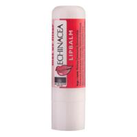 Jacob Hooy Lippenbalsem Echinacea - thumbnail