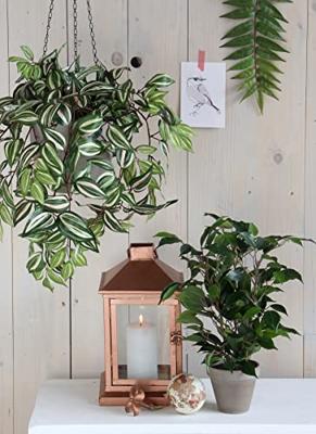 Decoratieve plant Mica Decorations 40 x 30 cm Keramisch Groen PVC Vijgen