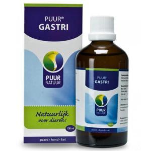 PUUR gastri 100ml