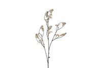 Kunstbloem Persicaria Vivaldi S creme Countryfield - Countryfield - thumbnail