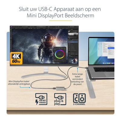 Adapter USB-C naar Mini DisplayPort Startech CDP2MDPEC Zwart/Gris