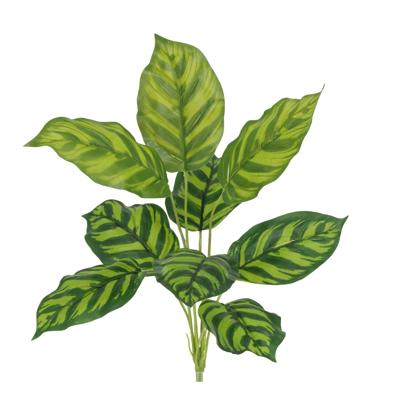 Calathea Maranta Kunstplant 40cm