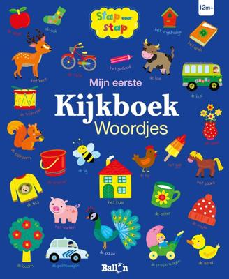 Mijn eerste kijkboek Woordjes (Hardback)