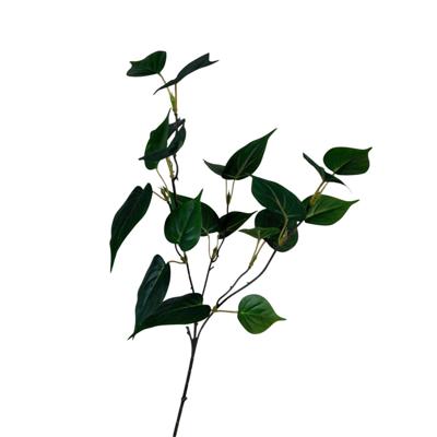 Roberts Collection Kunsttak sgindapsusblad groen 55cm