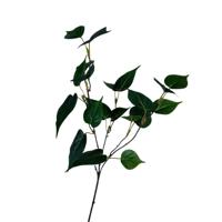 Roberts Collection Kunsttak sgindapsusblad groen 55cm - thumbnail