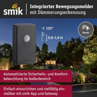 50136 Zigbee Motion Sensor Paulmann Home Bewegingsmelder Zwart - thumbnail