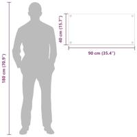 VidaXL Keuken achterwand 2 pcs doorzichtig 90 x 40 cm gehard glas - thumbnail