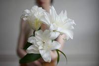 Nikon Z 50mm F/1.2 S - thumbnail