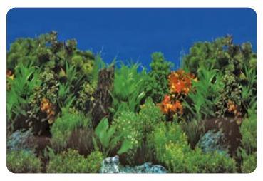 Deco Poster B5 120X61 Cm aquaria Superfish - Superfish Deco Poster B5 120X61 Cm aquaria Superfish - Superfish