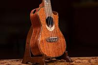 Ortega Eclipse Series ECLIPSE-CC4 concert ukelele met gigbag - thumbnail