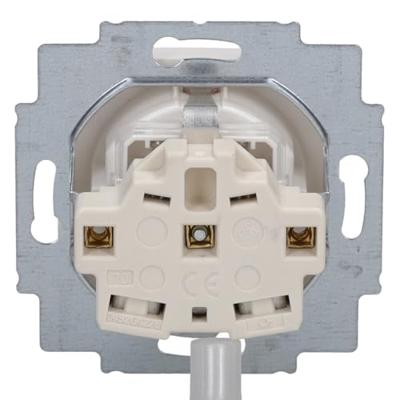 ABB 2CKA002013A5319 Apparaatinzetstuk IP20 Wit, Zuiver wit (RAL 9010)