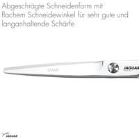 Jaguar Scissors White Line Smart 5,5" - thumbnail