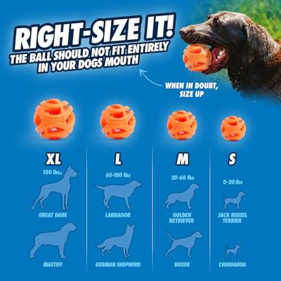CHUCKIT BREATHE RIGHT FETCH BAL MEDIUM 2 ST