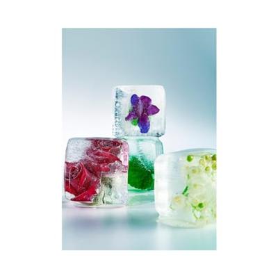 Damesparfum Armand Basi In Red EDT