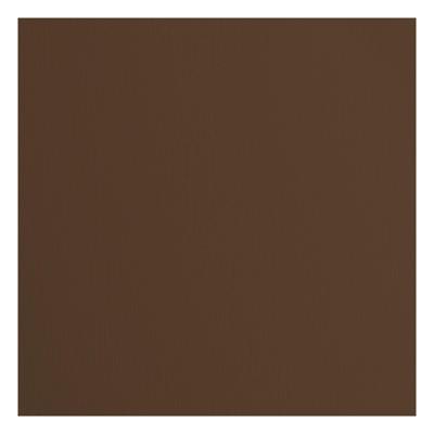 Florence • cardstock papier 216g textuur 30,5x30,5cm hazelnut 20x