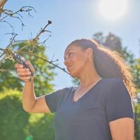 GARDENA 12240-20 PremiumCut Trockenes Holz Tuinschaar Amboss - thumbnail