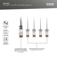 DIGITUS Universele 40 Gbit/s QSFP+ naar 4x SFP+ 10 Gbit/s DAC-Breakout Kabel - 3m - 10 Gbit/s per kanaal - Netwerkkabel - Direct Attach Cable - Direct Attach Copper - thumbnail