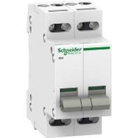 20 A 415 V Schneider Electric A9S60220 - thumbnail
