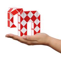 Spel Magische Slang 48 Delig Fidget - thumbnail