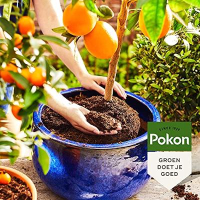Pokon Bio Potgrond Mediterrane Planten 30L
