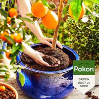 Pokon Bio Potgrond Mediterrane Planten 30L - thumbnail