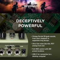 Strymon Brig dBucket Delay effectpedaal - thumbnail