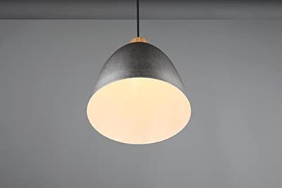 Trio HanglampJagger RVS met houtbruin - R30681067