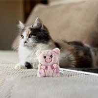 Fofos floppy varken - thumbnail