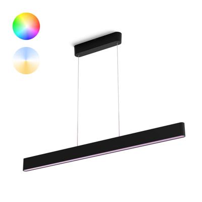 Philips Hue LED-hanglamp 871951434336800 Hue White & Col. Amb. Ensis LED vast ingebouwd 79 W