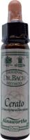 Ainsworths Cerato Bach 10 Milliliter - thumbnail