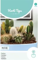 Zaden Cactus All-Round Mengsel Hortitops - Hortitops - thumbnail