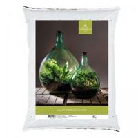 Esschert Design plant terrarium potgrond - thumbnail