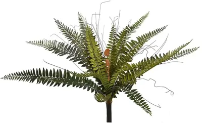 Boston varen h43 cm groen Pure Royal - Pure royal Boston varen h43 cm groen Pure Royal - Pure royal