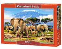 Castorland legpuzzel Kilimanjaro Morning 1000 stukjes - thumbnail