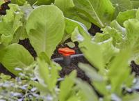 Gardena Reguleer- en afsluitventiel (3/16') - thumbnail