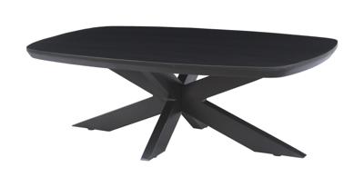 Livingfurn Salontafel 'Jesper' Mangohout, 120 x 75cm, kleur Zwart Livingfurn Salontafel 'Jesper' Mangohout, 120 x 75cm, kleur Zwart