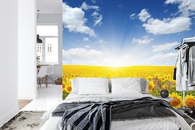 Fotobehang - Veld met bloeiende Zonnebloemen, geel/blauw, te koop in 11 maten, incl behanglijm