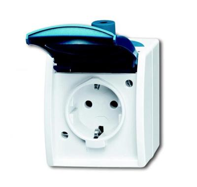 Busch-Jaeger wandcontactdoos met klapdeksel randaarde grijs/blauwgroen