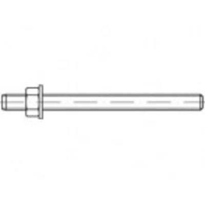 Alstertaler Schrauben & Präzisionsteile 887340100100170 Ankerstang 170 mm 20 stuk(s)