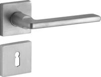 Krukg. Piatto/BH verdekt geveerd BB MMNO - thumbnail