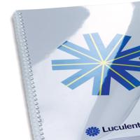 GBC HiClear omslagen, ft A4, PVC, 200 micron, pak van 100 stuks, transparant - thumbnail