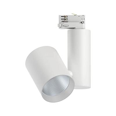 Paulmann ProRail3 Zeuz 33W 60° 3000K W triac 91341 Systeemlamp (basis) ProRail3 33 W Wit