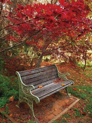 Bankje 50x70cm Tuinschilderij Customize-it - Customize it