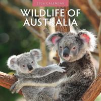Wildlife of Australia Kalender 2026 - thumbnail