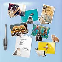 Mosterd Dikke Kat Magneten - 12 stuks - thumbnail