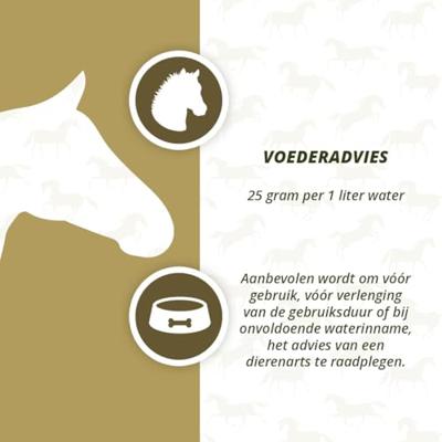 Horse Electrolytes Poeder met B2