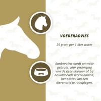 Horse Electrolytes Poeder met B2 - thumbnail