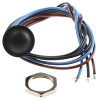 APEM IAR5F1200 IAR5F1200 Druktoets 24 V/DC 2 A 1x aan/(aan) Moment IP67 (front) 1 stuk(s) - thumbnail